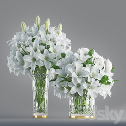 White lily in crystal vase 3D Models 