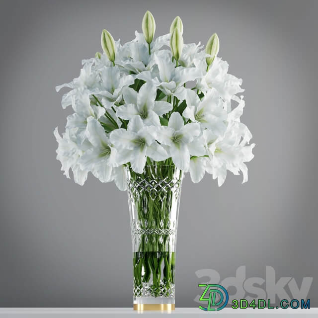 White lily in crystal vase 3D Models