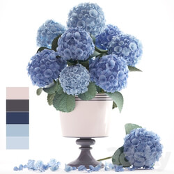 Collection of flowers 56. Hydrangea blue flowers flower vase branch 3D Models 