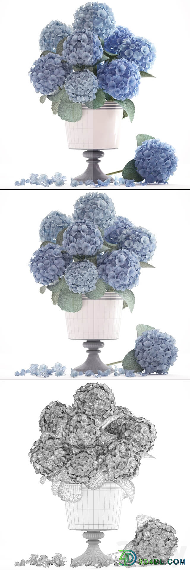Collection of flowers 56. Hydrangea blue flowers flower vase branch 3D Models
