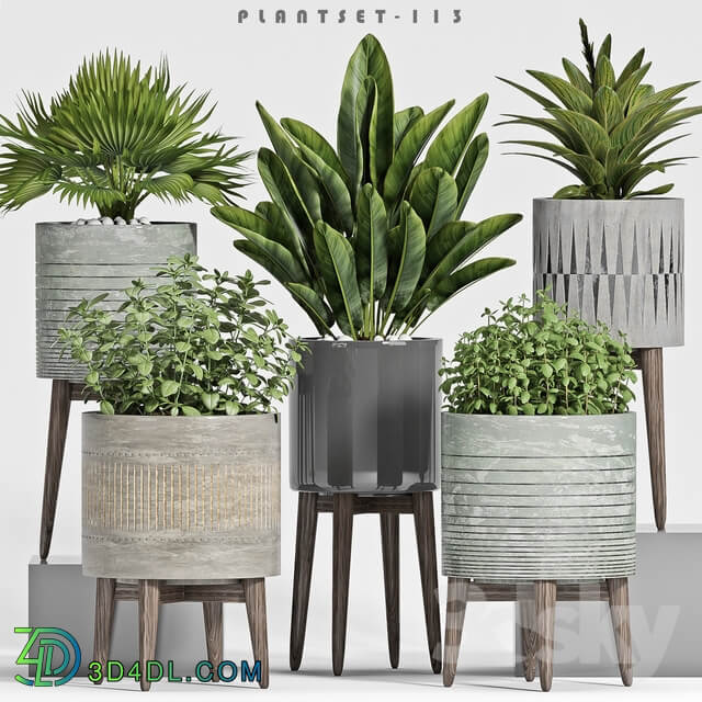 plant set 113