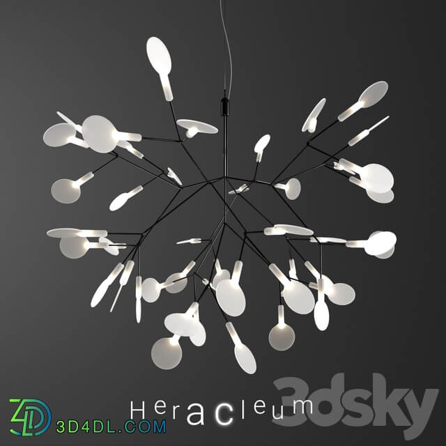 Chandelier Moooi Heracleum II Small BLACK Pendant light 3D Models