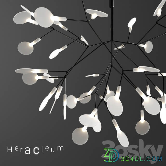 Chandelier Moooi Heracleum II Small BLACK Pendant light 3D Models