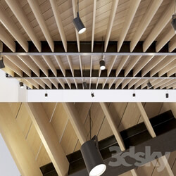 Miscellaneous Wooden ceiling on metal beams. 24 