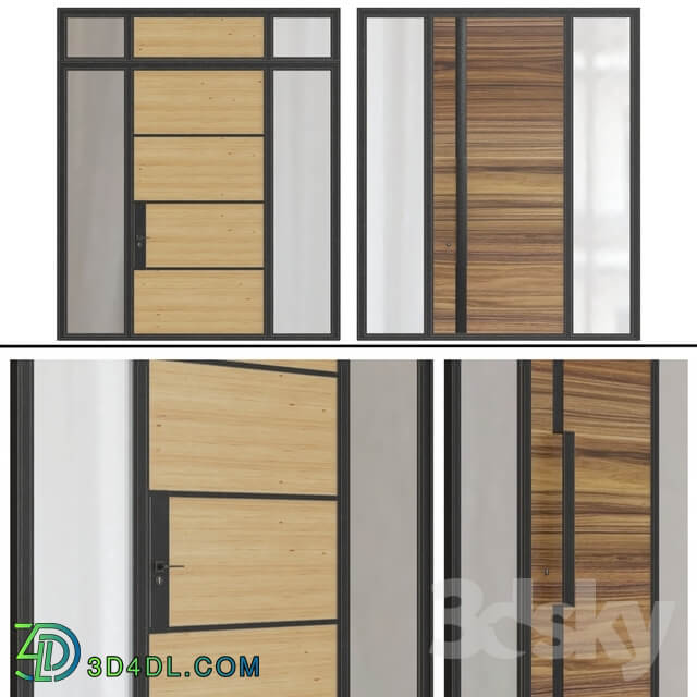 Modern entrance doors