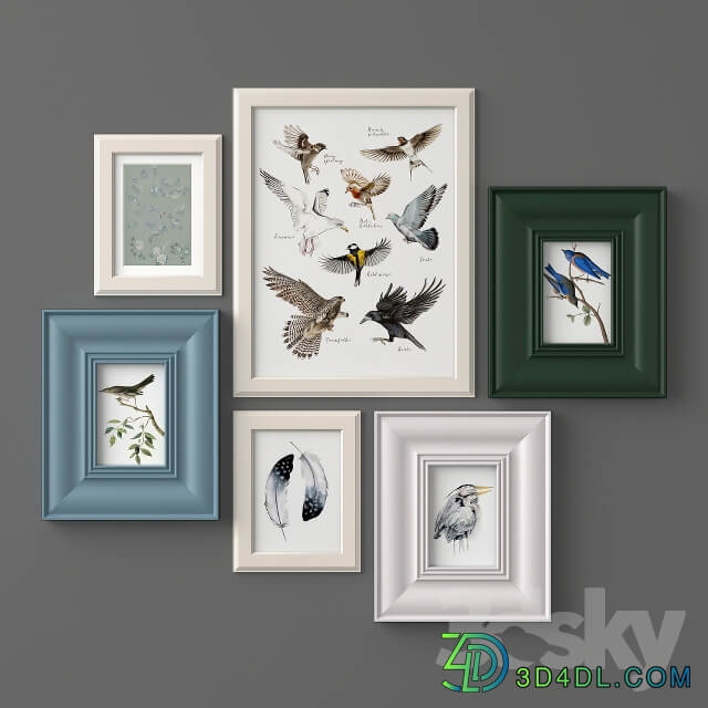 Paintings with birds 3D Models