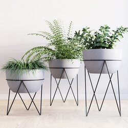 Iris planter with chevron stand 