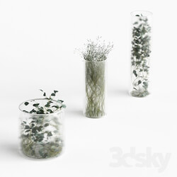 Plants in frosted vases 