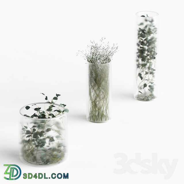 Plants in frosted vases