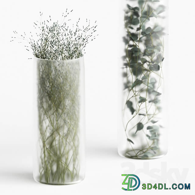 Plants in frosted vases