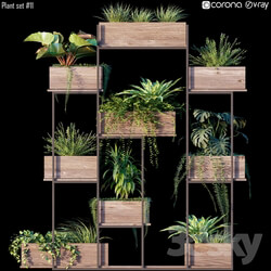 Plant set 11 