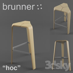 Brunner Hoc 
