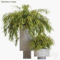 Branches in vases 14 Hakonechloa 