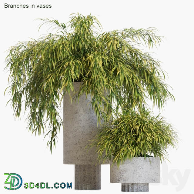 Branches in vases 14 Hakonechloa