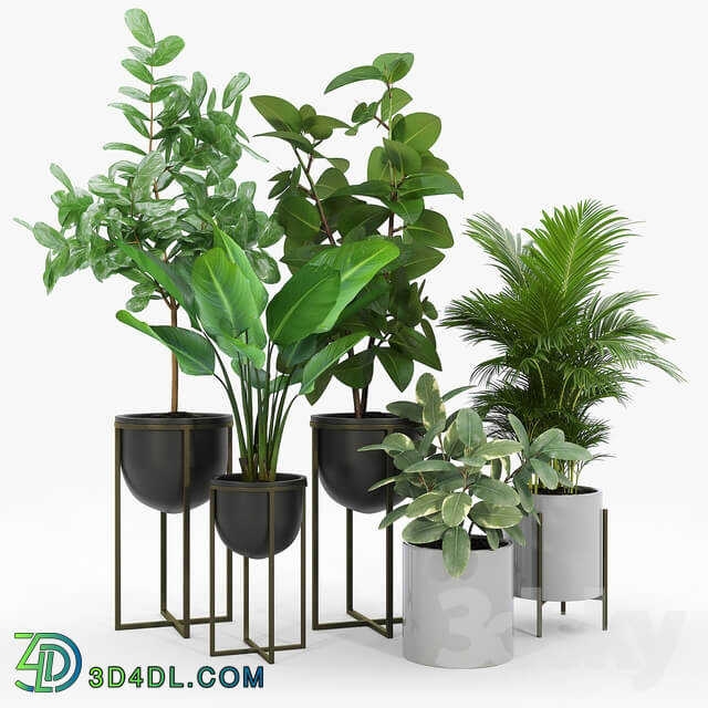 Manhart 2 Piece Iron Pot Planter Set