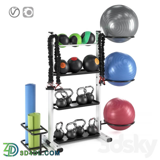 Fitness accessories rack