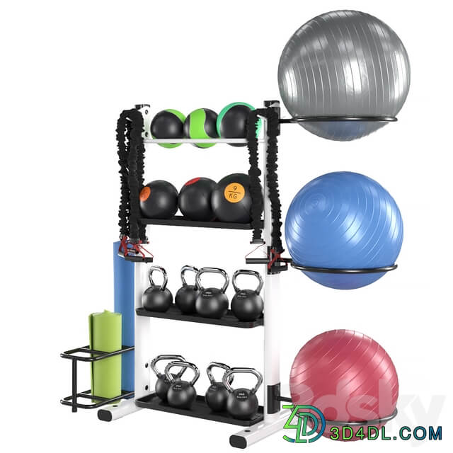 Fitness accessories rack