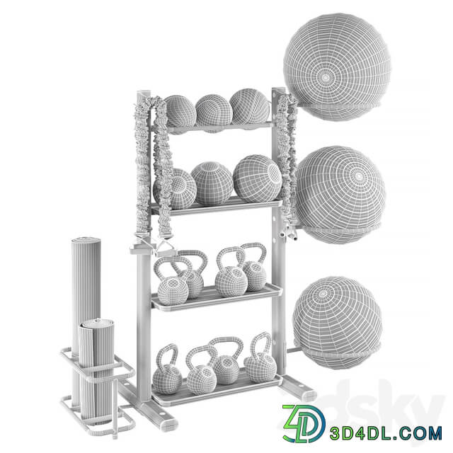 Fitness accessories rack