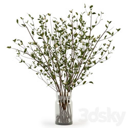 Branches in a Vase 009 