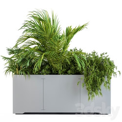 Gray Plants Box with Tropical plant 