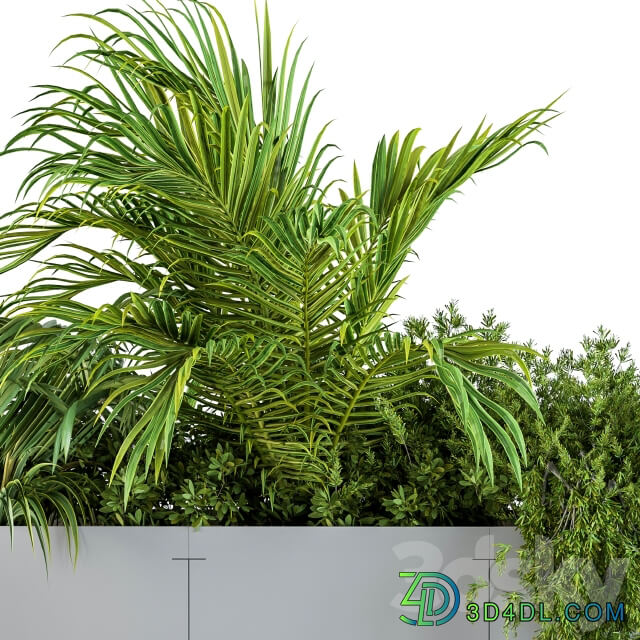 Gray Plants Box with Tropical plant