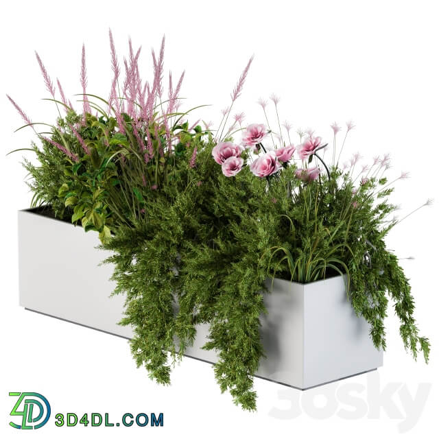 Planter Box For Windows Pink Flower