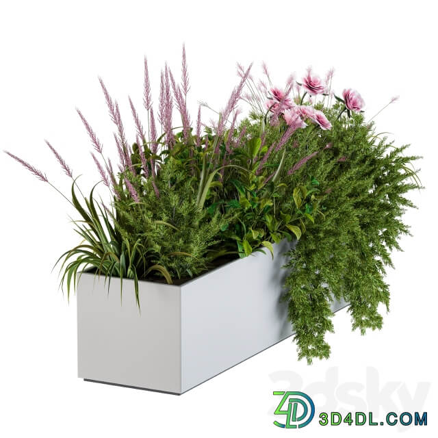 Planter Box For Windows Pink Flower