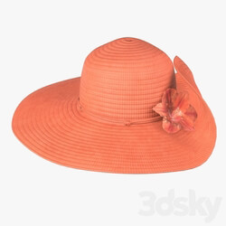 Clothes Floppy summer female woman hat 02 