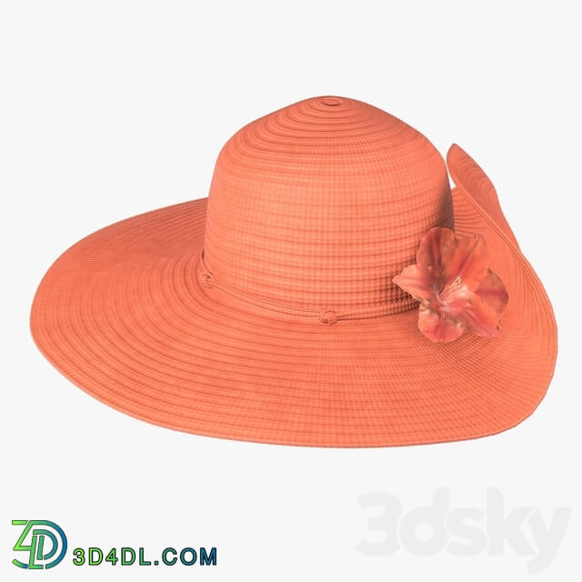 Clothes Floppy summer female woman hat 02