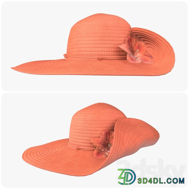 Clothes Floppy summer female woman hat 02