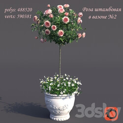 Rosa shtambovaya in a pot No. 2 3D Models 