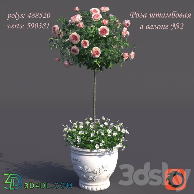 Rosa shtambovaya in a pot No. 2 3D Models