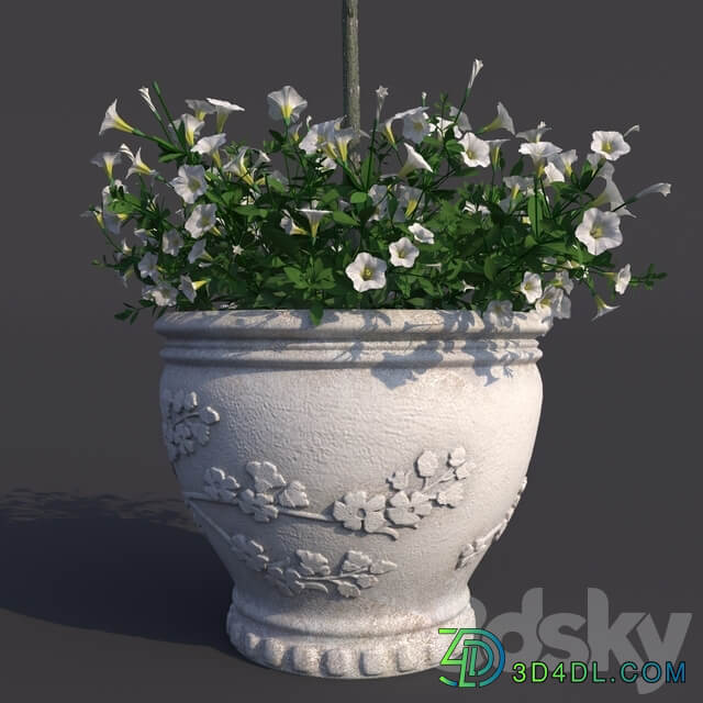 Rosa shtambovaya in a pot No. 2 3D Models