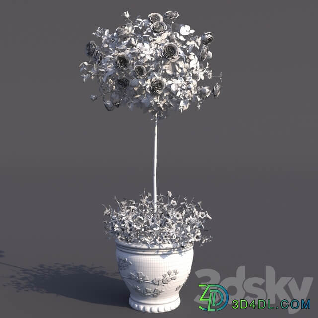 Rosa shtambovaya in a pot No. 2 3D Models