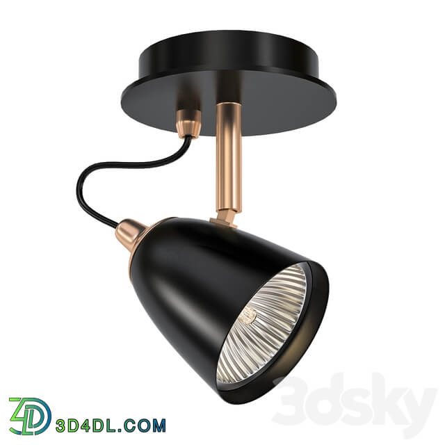 Ceiling lamp Copper spot 1