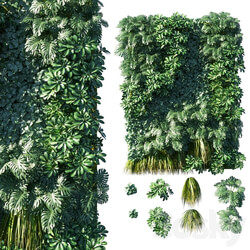 Fitowall Vertical garden Green wall 02 