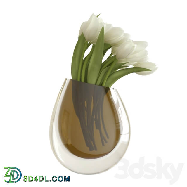 White tulips in a vase