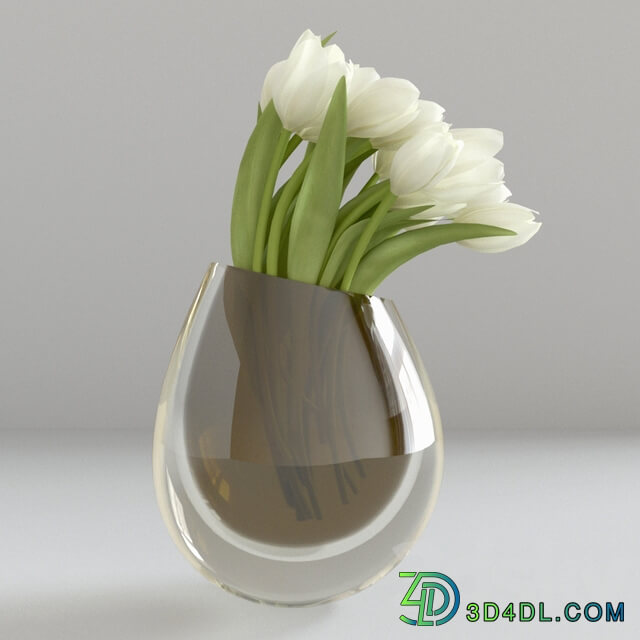 White tulips in a vase