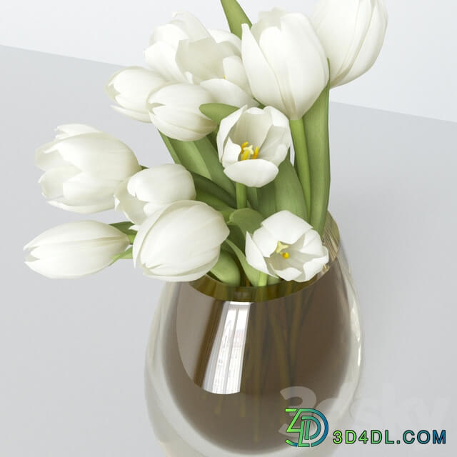 White tulips in a vase