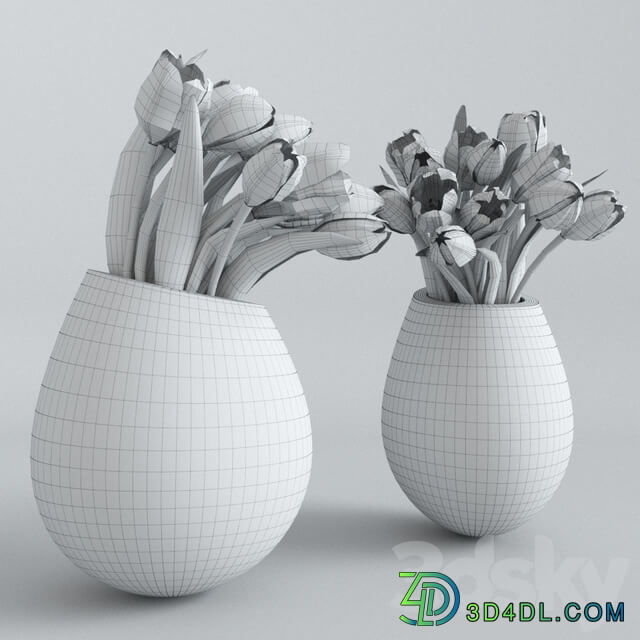 White tulips in a vase