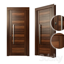 Modern wood door 