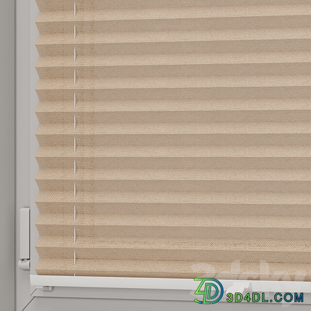 Pleated curtains and window