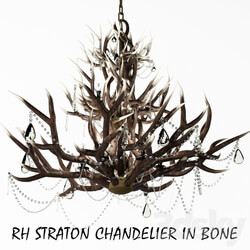 RH STRATON CHANDELIER IN BONE Pendant light 3D Models 