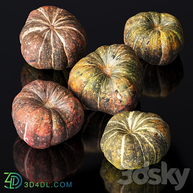 Pumpkin. 5 models