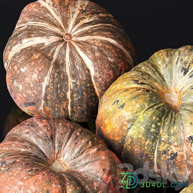 Pumpkin. 5 models