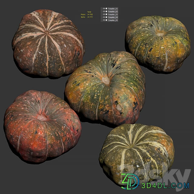 Pumpkin. 5 models