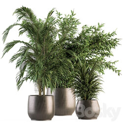 indoor Plant Set 112 Tropical Plants 