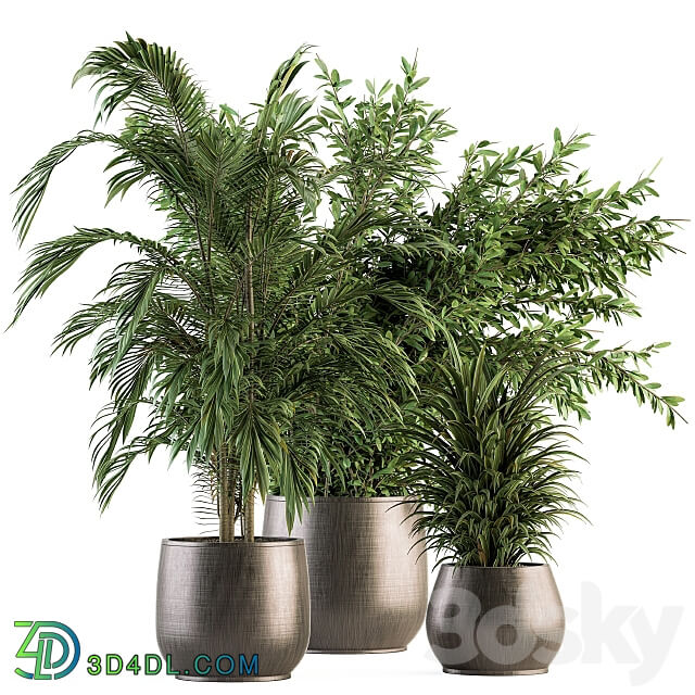 indoor Plant Set 112 Tropical Plants