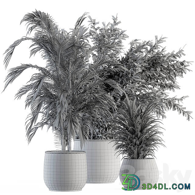 indoor Plant Set 112 Tropical Plants