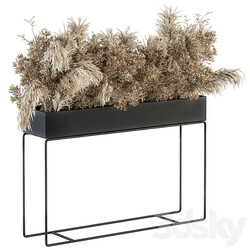 indoor Plant Set 117 Dried Plant box 